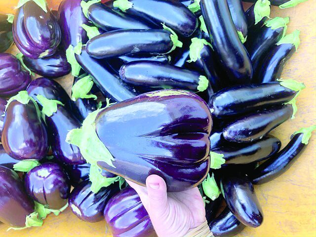 Eggplant & Saturday Afternoon Grilled Ratatouille